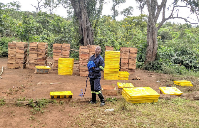 Sustainable beekeeping