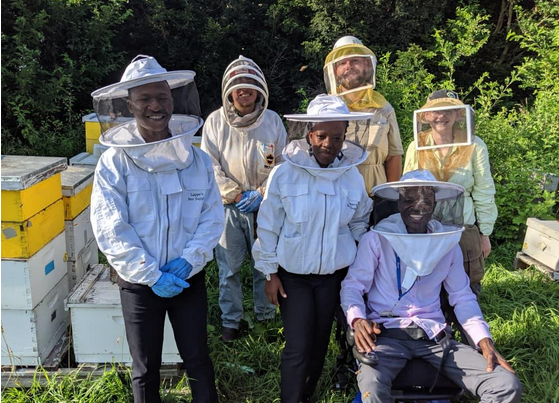 Zambian beekeepers harvesting natural honey from sustainable hives in Miombo forest