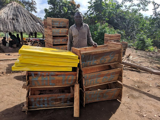 Eco-friendly beehives deployed