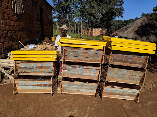Top-bar hives in the field