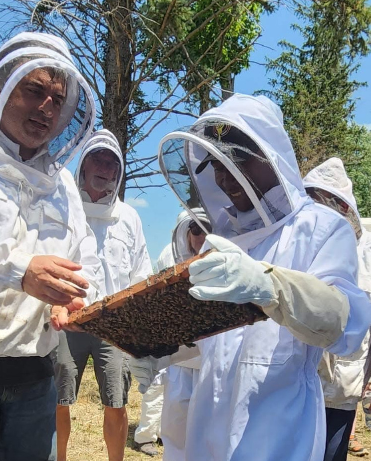 Natural honey production