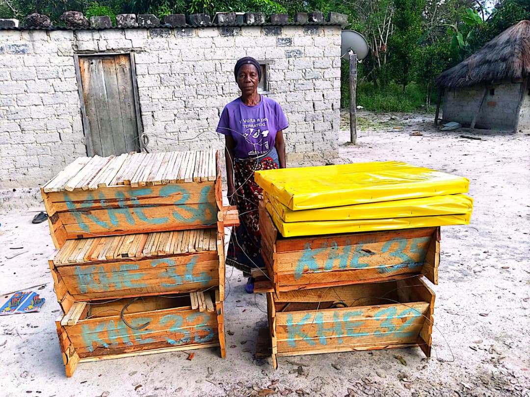 Top-bar beehive in use