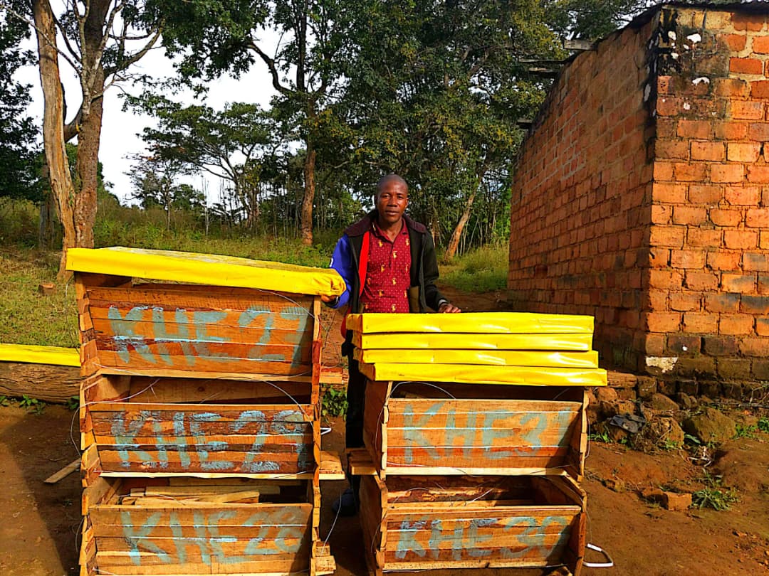 Top-bar beehive construction