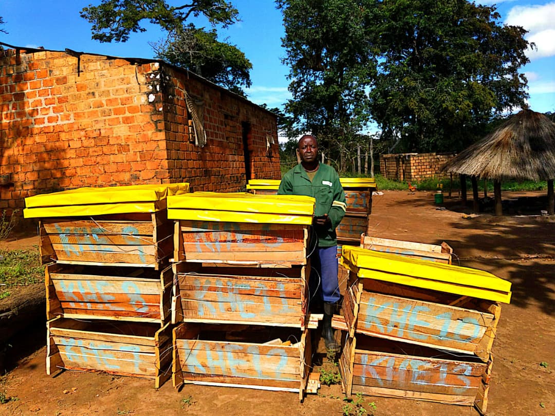 Sustainable beekeeping practices